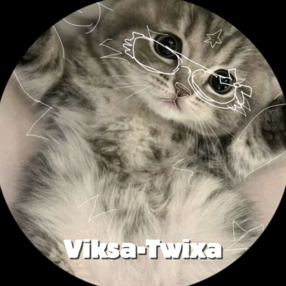Иконка канала Viksa-Twixa🐬
