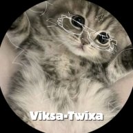Иконка канала Viksa-Twixa🐬