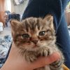 Иконка канала Маргарита