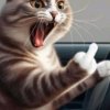 Иконка канала Cat 😺🐈мяу