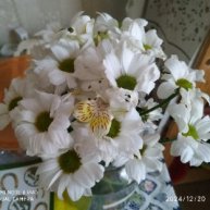 Иконка канала Гюзэль Яшен (Алкинская)