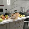 Иконка канала Илья