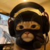 Иконка канала Fifooster