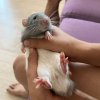 Иконка канала Руслан и Матвей