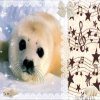 Иконка канала ⲧюⲗⲉⲏьɥυⲕ!:3