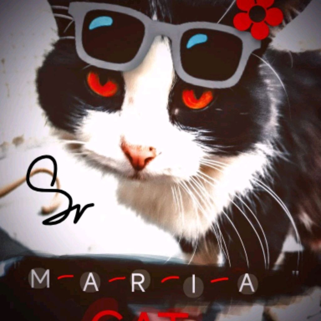 Иконка канала Мария Cat 🔥
