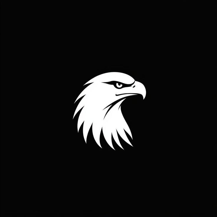 Иконка канала EagleVision