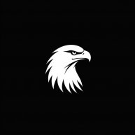 Иконка канала EagleVision