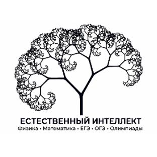 Иконка канала Естественный интеллект