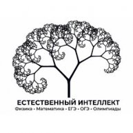 Иконка канала Естественный интеллект