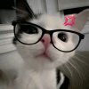 Иконка канала Да бля
