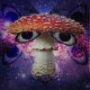 Иконка канала ligedot нарезки