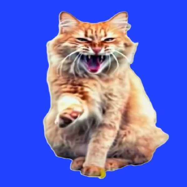 Иконка канала The red-haired cat