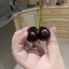 Иконка канала Мистер Гречка