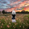 Иконка канала Miss_rbx🌿🎀