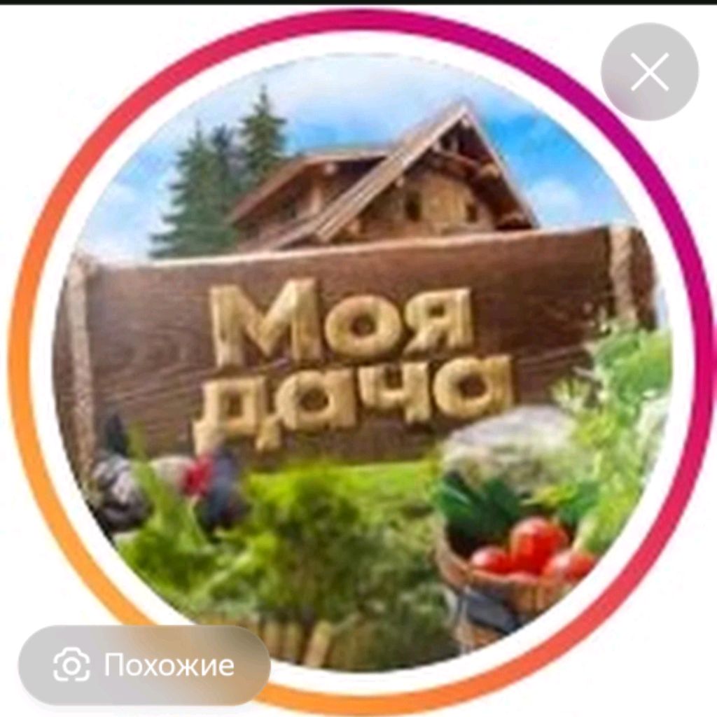 Иконка канала Жизнь на ДАЧЕ.