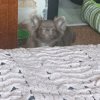 Иконка канала Flaiball