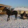 Иконка канала Вадим Герман
