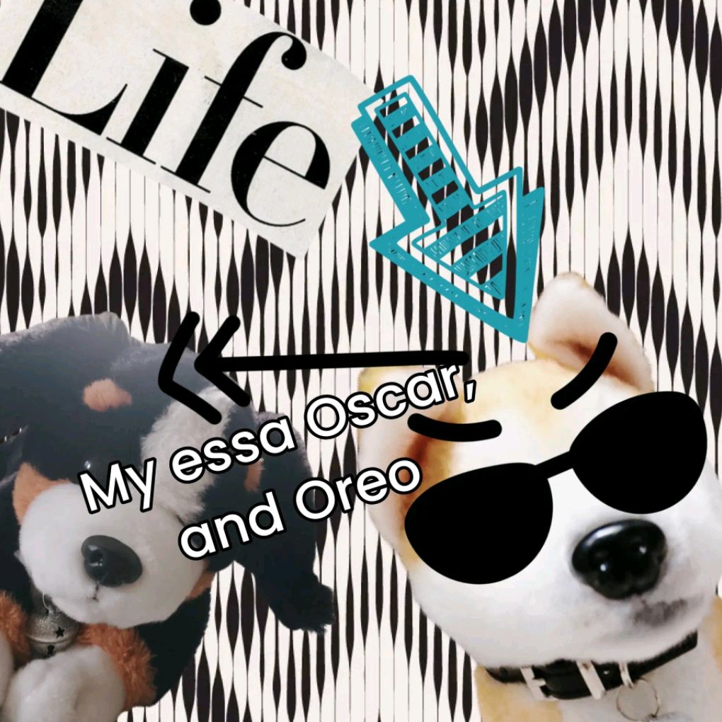 Иконка канала ×﹤∆√^× my essa Oscar, and Oreo×^∆^)