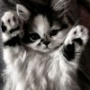 Иконка канала ^^ALoYNA^^