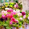 Иконка канала Дом глоксиний и орхидей🥀🌺🌹🌸