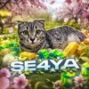 Иконка канала Se4Ya So2