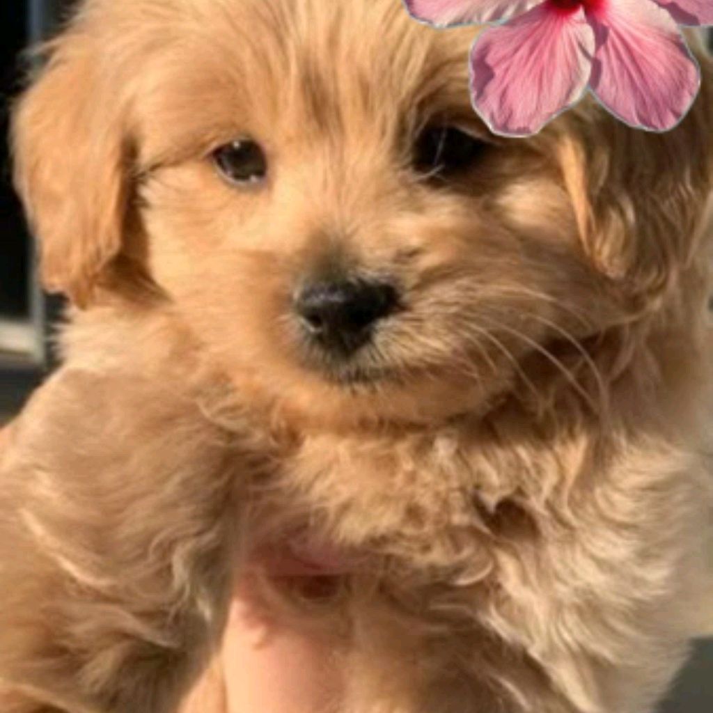 Иконка канала ✨Всё нужное💗