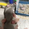 Иконка канала KmMK _KILL