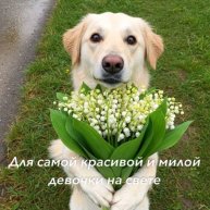 Иконка канала 💠Nika💠