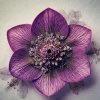 Иконка канала Тринадцатый сад | Дикая природа Крыма