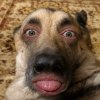 Иконка канала MudriyVlad