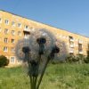 Иконка канала Одуваны в деле