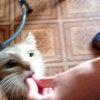 Иконка канала AlexanderGame