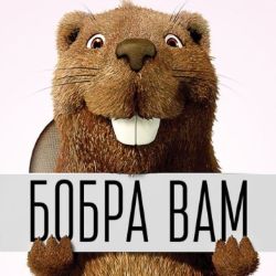 Иконка канала Перезаливочная бобра