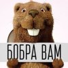 Иконка канала Перезаливочная бобра