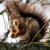 Иконка канала ✅Мир Природы ...  💞💞💞... "Natural World"