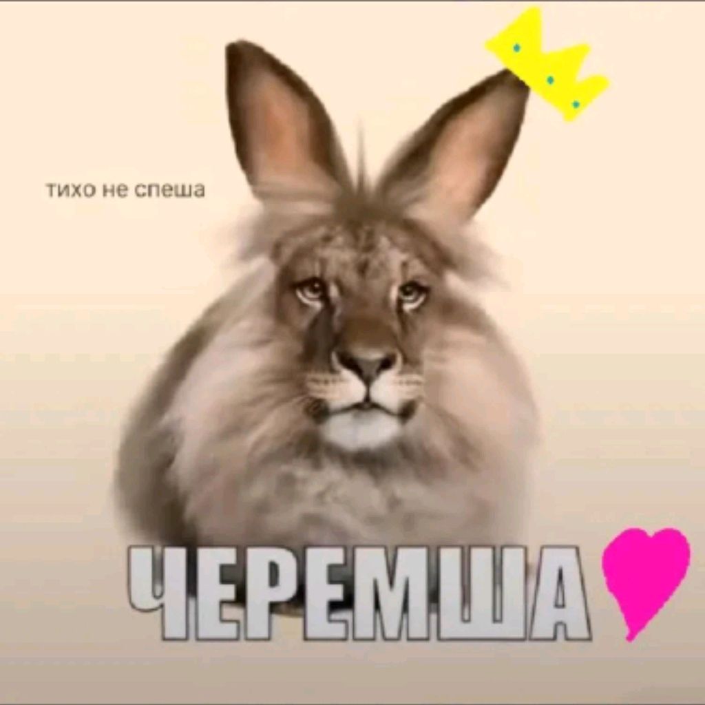 Иконка канала Гоша  Фамилия  Ролдит