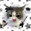 Иконка канала Котята