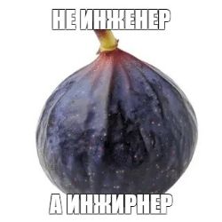 Иконка канала ДОМ ИНЖИРА GAMES