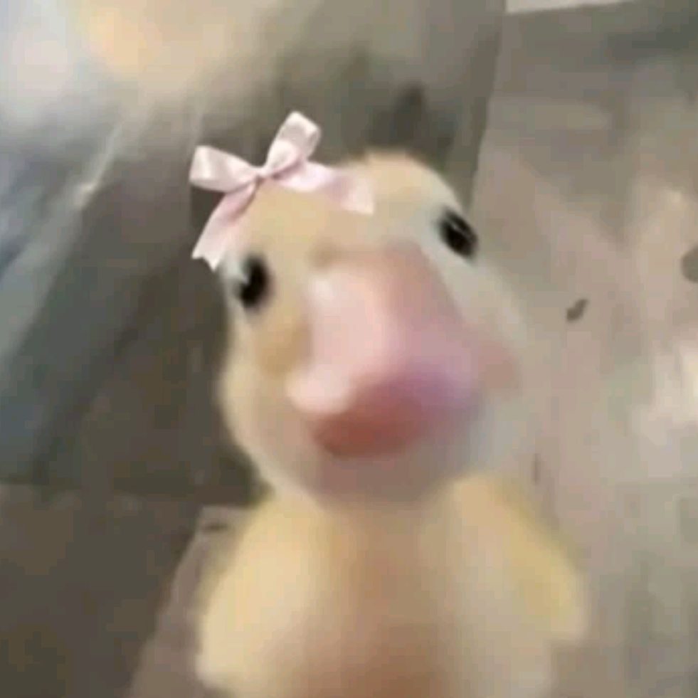 Иконка канала 🌟💫🐸Лигушка Юни 🐸✨