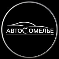 Иконка канала Автосомелье | Авто-импорт