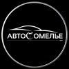 Иконка канала Автосомелье | Авто-импорт