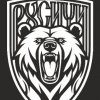 Иконка канала Крымский центр развития патриотизма «Русичи»