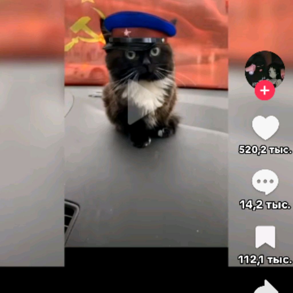 Аватар автора