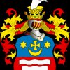 Иконка канала «STUDIO SELICKI»