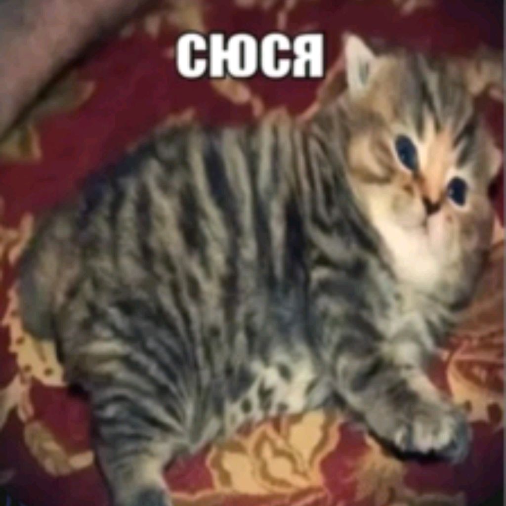 Аватар автора