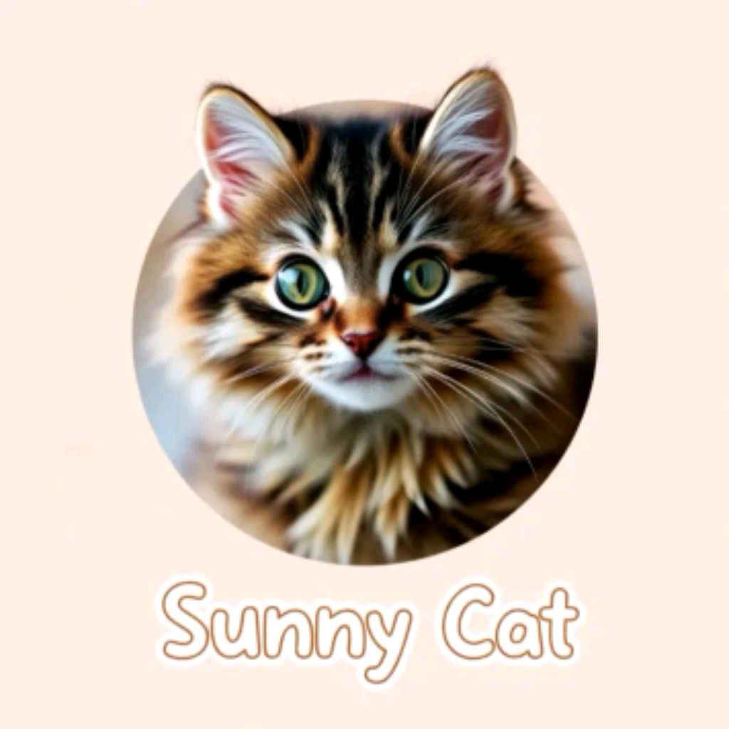 Иконка канала SunnyCatPlay
