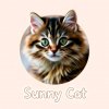 Иконка канала SunnyCatPlay