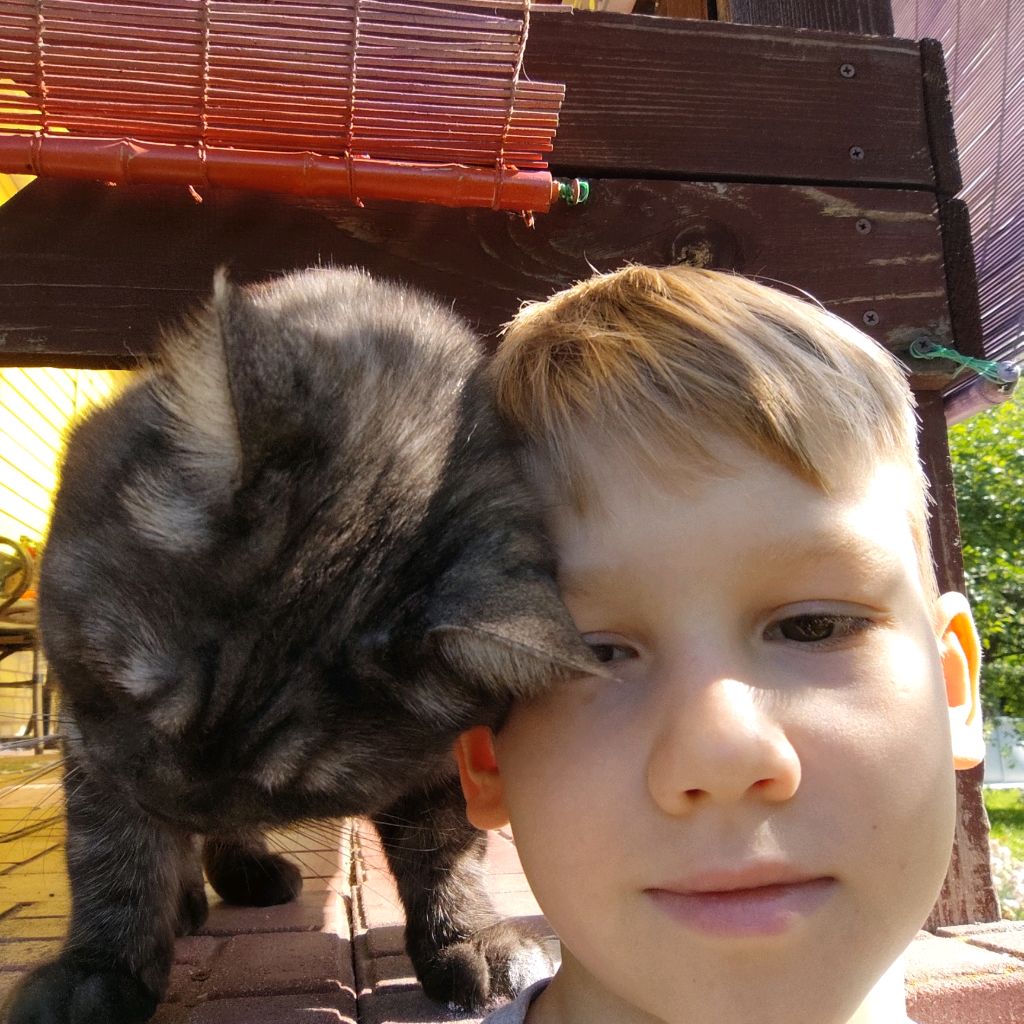 Аватар автора