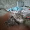 Иконка канала Санёчек